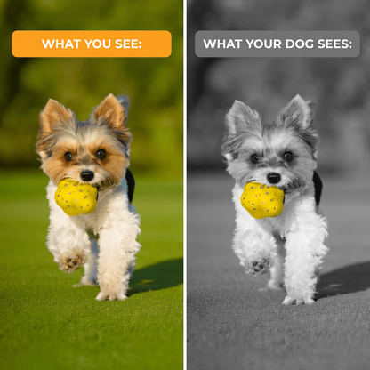 ChewMagic™ Ball