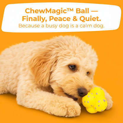ChewMagic™ Ball