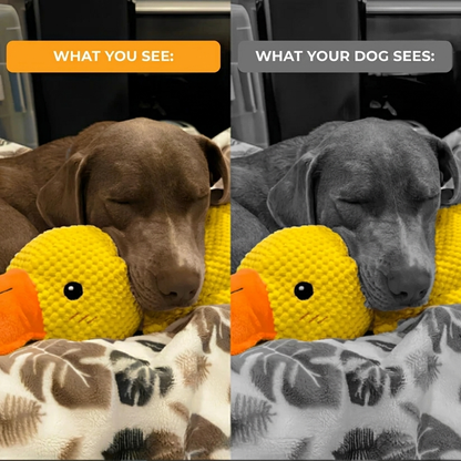 Anti-Stress Duck™