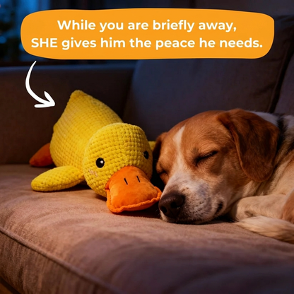 Anti-Stress Duck™