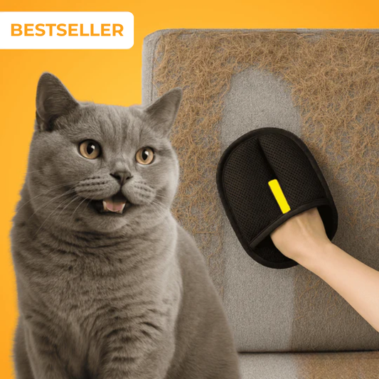 FurMagnet Cat Hair Remover