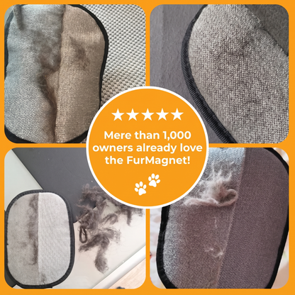 FurMagnet™ – Cat Hair Remover